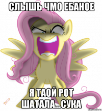 слышь чмо ебаное я таой рот шатала...сука