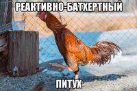 реактивно-батхертный питух