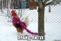  прайд-питух