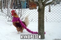  кукорегей