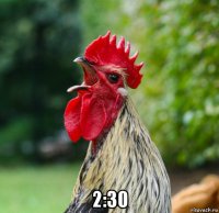  2:30