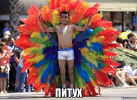  питух
