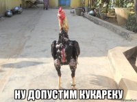  ну допустим кукареку