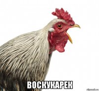  воскукарек