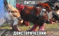 питух доисторический
