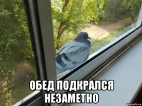  обед подкрался незаметно