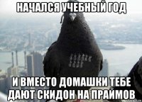 начался учебный год и вместо домашки тебе дают скидон на праймов