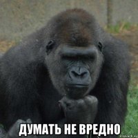  думать не вредно
