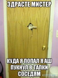 здрасте мистер куда я попал я аш пукнул в тапки соседям