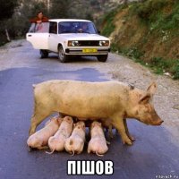  пiшов
