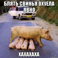 блять свинья охуела явно хахахаха