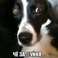  чё за @уйня....