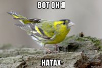 вот он я натах