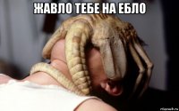жавло тебе на ебло 