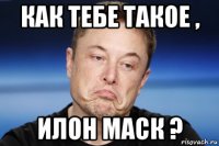 как тебе такое , илон маск ?