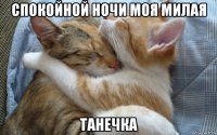 спокойной ночи моя милая танечка