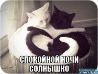  спокойной ночи солнышко
