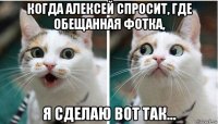 когда алексей спросит, где обещанная фотка, я сделаю вот так...