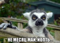  не месяц май, йопть...