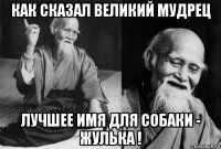 как сказал великий мудрец лучшее имя для собаки - жулька !