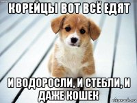 корейцы вот всё едят и водоросли, и стебли, и даже кошек