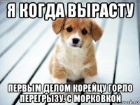 я когда вырасту первым делом корейцу горло перегрызу. с морковкой