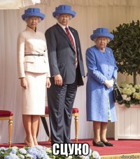  сцуко