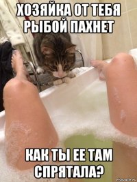 хозяйка от тебя рыбой пахнет как ты ее там спрятала?