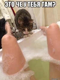 это че у тебя там? 