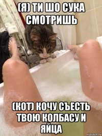 (я) ти шо сука смотришь (кот) кочу съесть твою колбасу и яйца