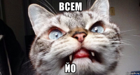 всем йо