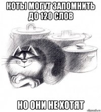 коты могут запомнить до 120 слов но они не хотят