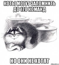 коты могут запомнить до 120 команд но они не хотят