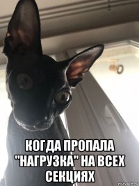  когда пропала "нагрузка" на всех секциях