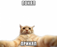 понял принял