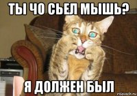ты чо сьел мышь? я должен был