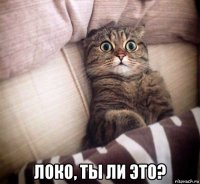  локо, ты ли это?