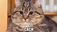  саси