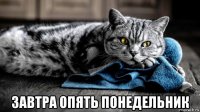  завтра опять понедельник