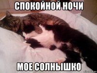 спокойной ночи мое солнышко
