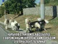  харьков становится всё более современным европейским городом . это проспект гагарина.
