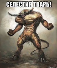селестия тварь! 