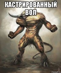 кастрированный вол 