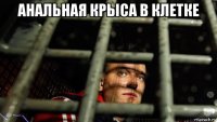 анальная крыса в клетке 