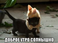  доброе утро солнышко