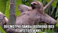  посмотрю лайвы волкова (все таргетолги нн)