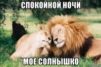 спокойной ночи мое солнышко