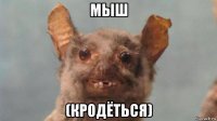 мыш (кродёться)