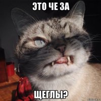 это че за щеглы?