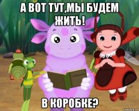 а вот тут,мы будем жить! в коробке?